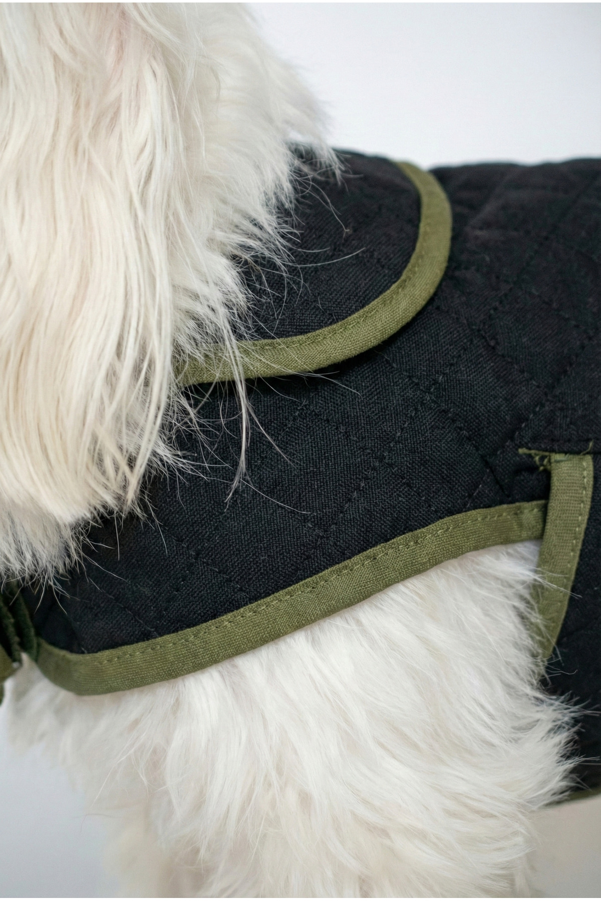 کت زمستانی سگ نوبل‌داگ NobleDog، کاپیتونه و ضدآب با بست چسبی مشکی