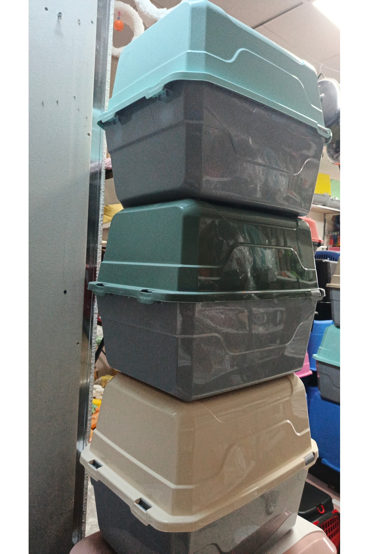 توالت سرپوشیده گربه پت‌شاپ Petshop شیری