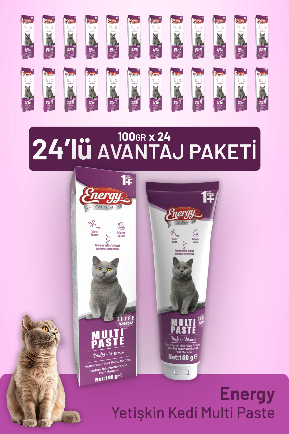 خمیر مولتی‌پِیست گربه بالغ کت فود انرژی Cat Food Energy، ۱۰۰ گرم، بسته ۲۴ عددی