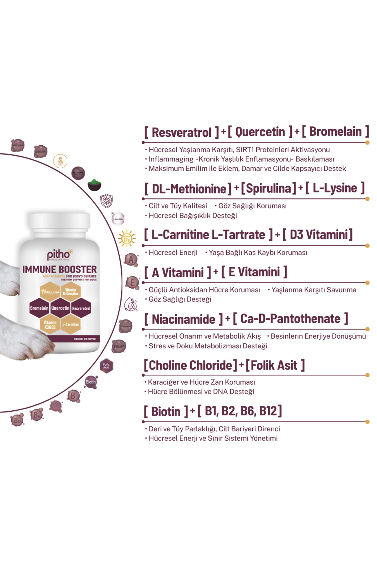قرص ویتامینی جویدنی سگ پیثو Pitho Immune Booster، مدل PDogs