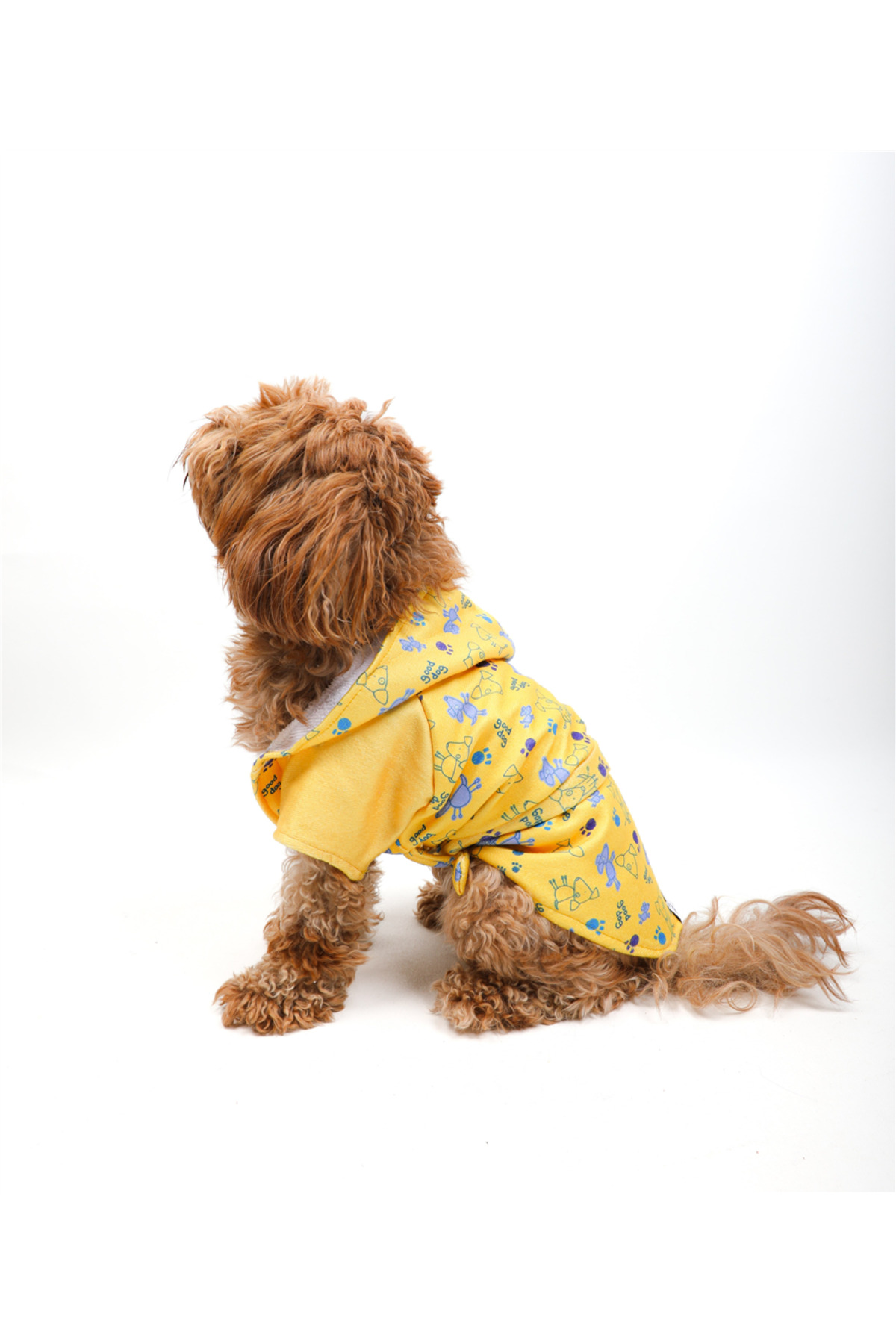 روبدوشامبر سگ زرد تارپاوز TARPAWS Good Dog