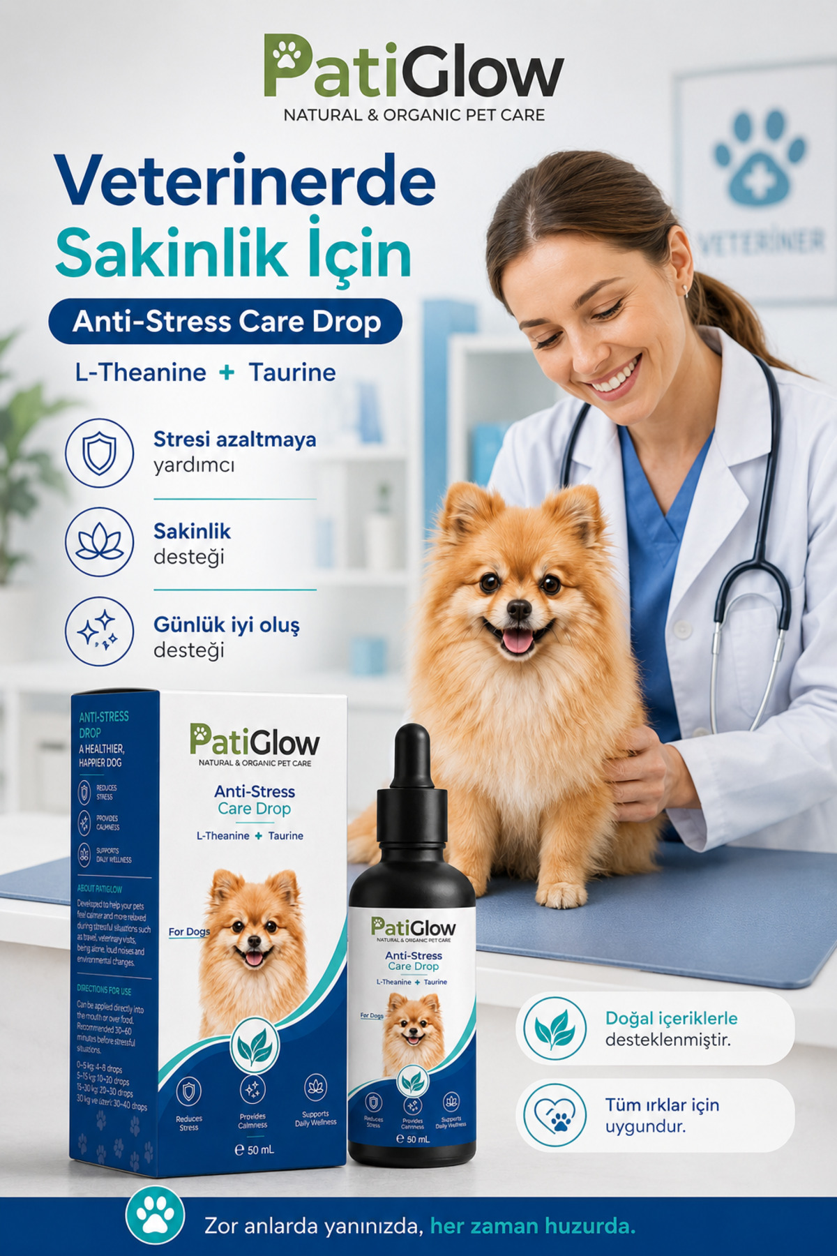 قطره آرام‌بخش و ضد‌استرس سگ ۵۰ میلی‌لیتری پتی‌گلو Patiglow