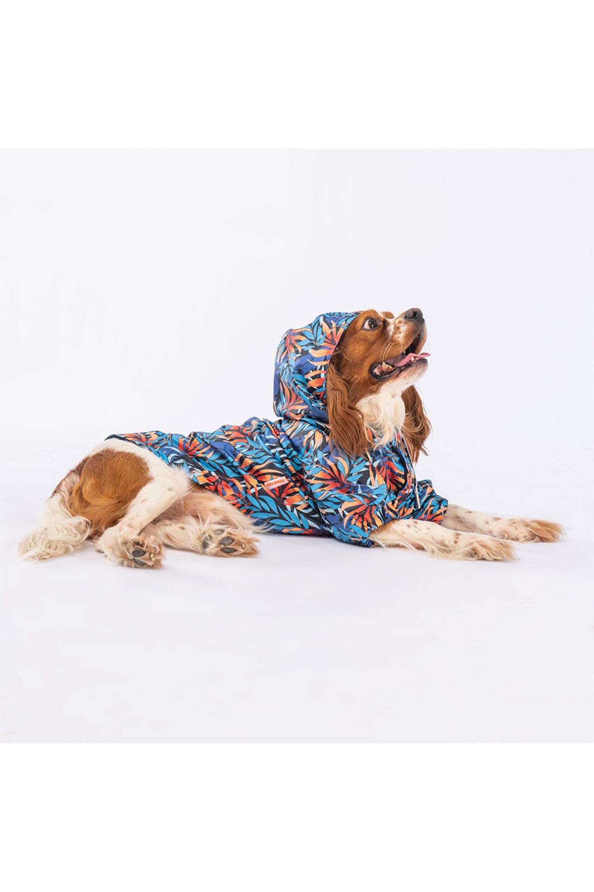 بارانی پلار‌دار سگ پاوستار Pawstar سری Autumna مدل PM2350، آبی