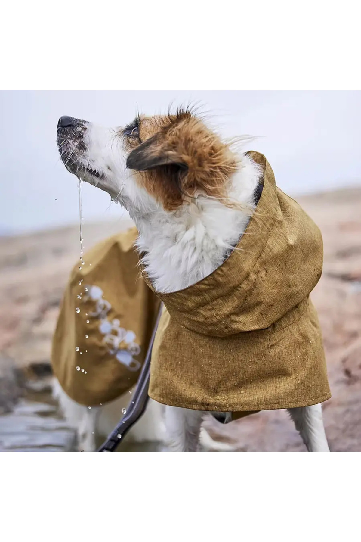 بارانی سگ هورتا Hurtta Monsoon Coat II ECO، نارنجی