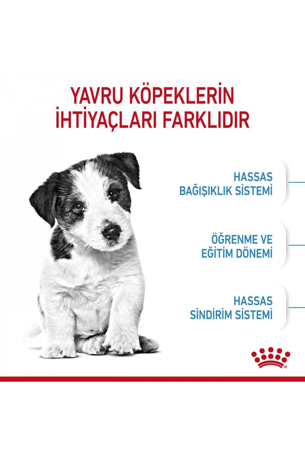 غذای خشک توله‌سگ نژاد کوچک Mini Puppy رویال کنین Royal Canin، طعم مرغ، ۴ کیلوگرم