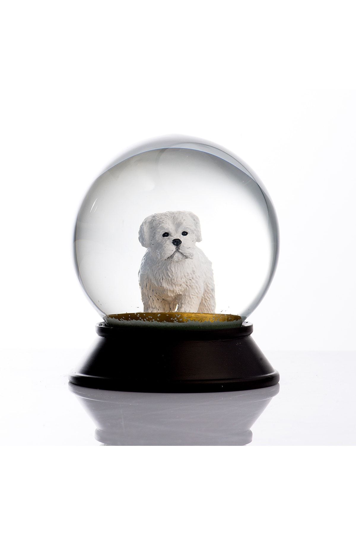گوی برفی پنجه های طلایی شیشه و رزین مالتی تریر SNOW GLOBE از ترکیه SNOOWG