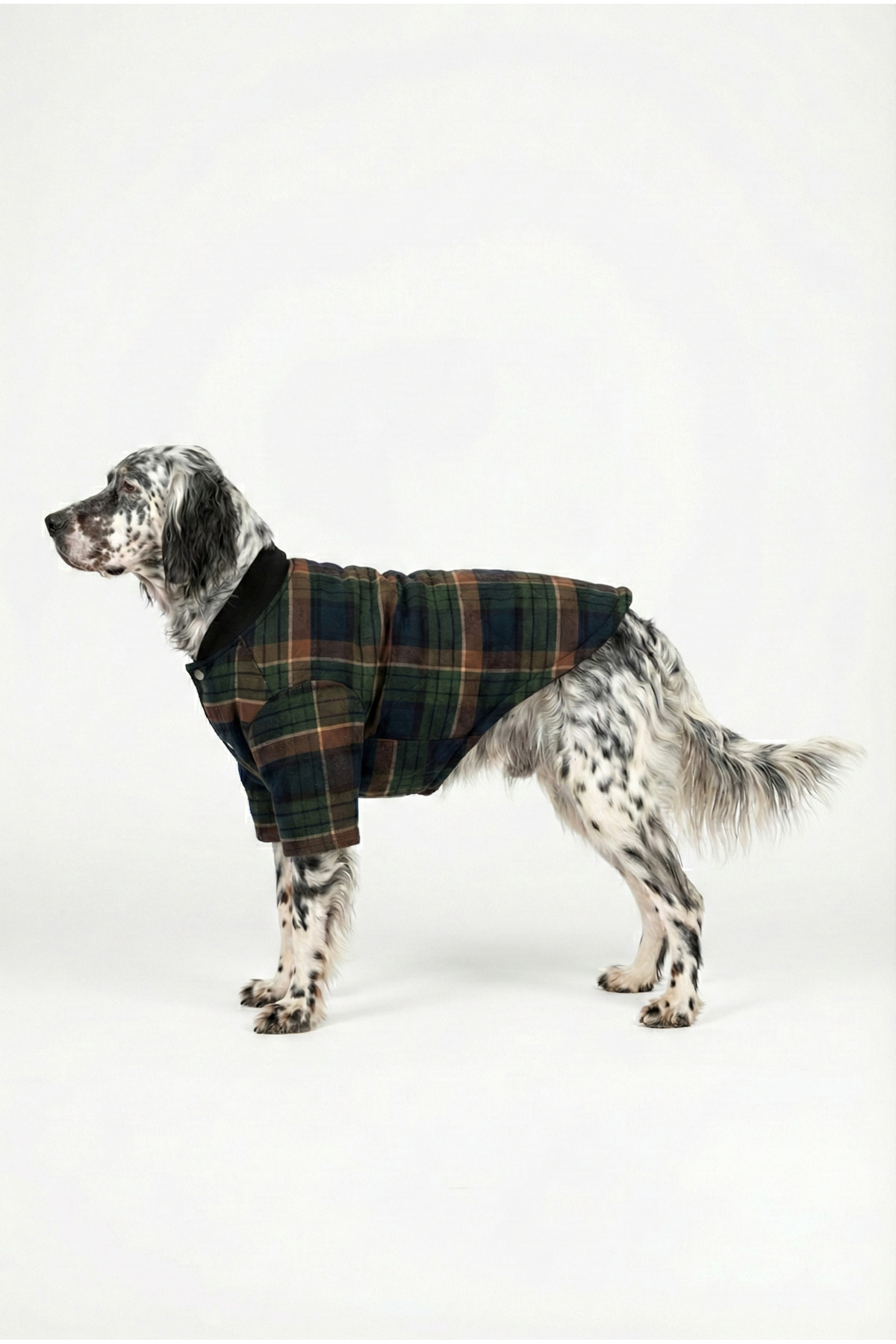 کاپشن زمستانی سگ طرح چهارخانه سبز، یقه کالجی و دکمه فشاری نوبل‌داگ NobleDog چندرنگ