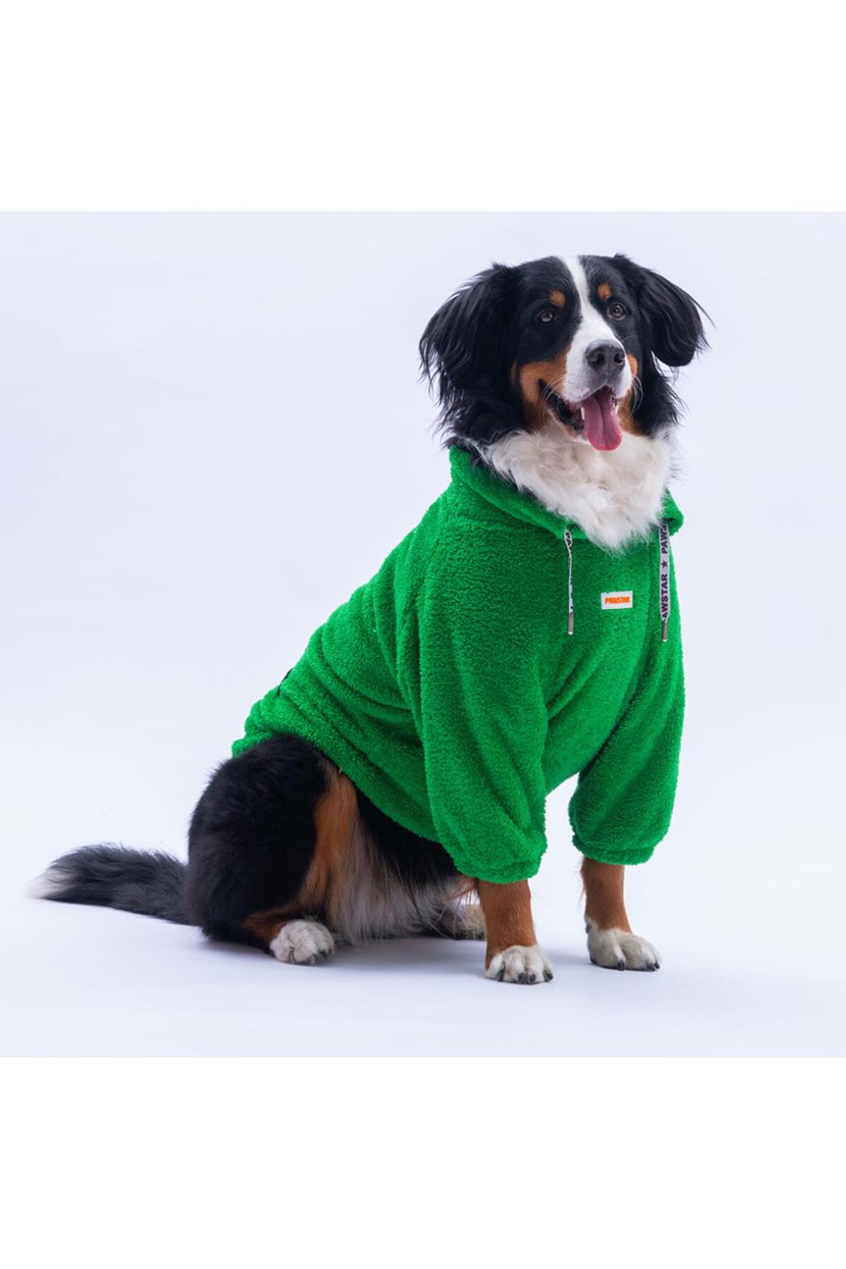 سویشرت پولیشی سگ پاوستار Pawstar Oslo Chill Urban Moods سبز مدل PS25-1099