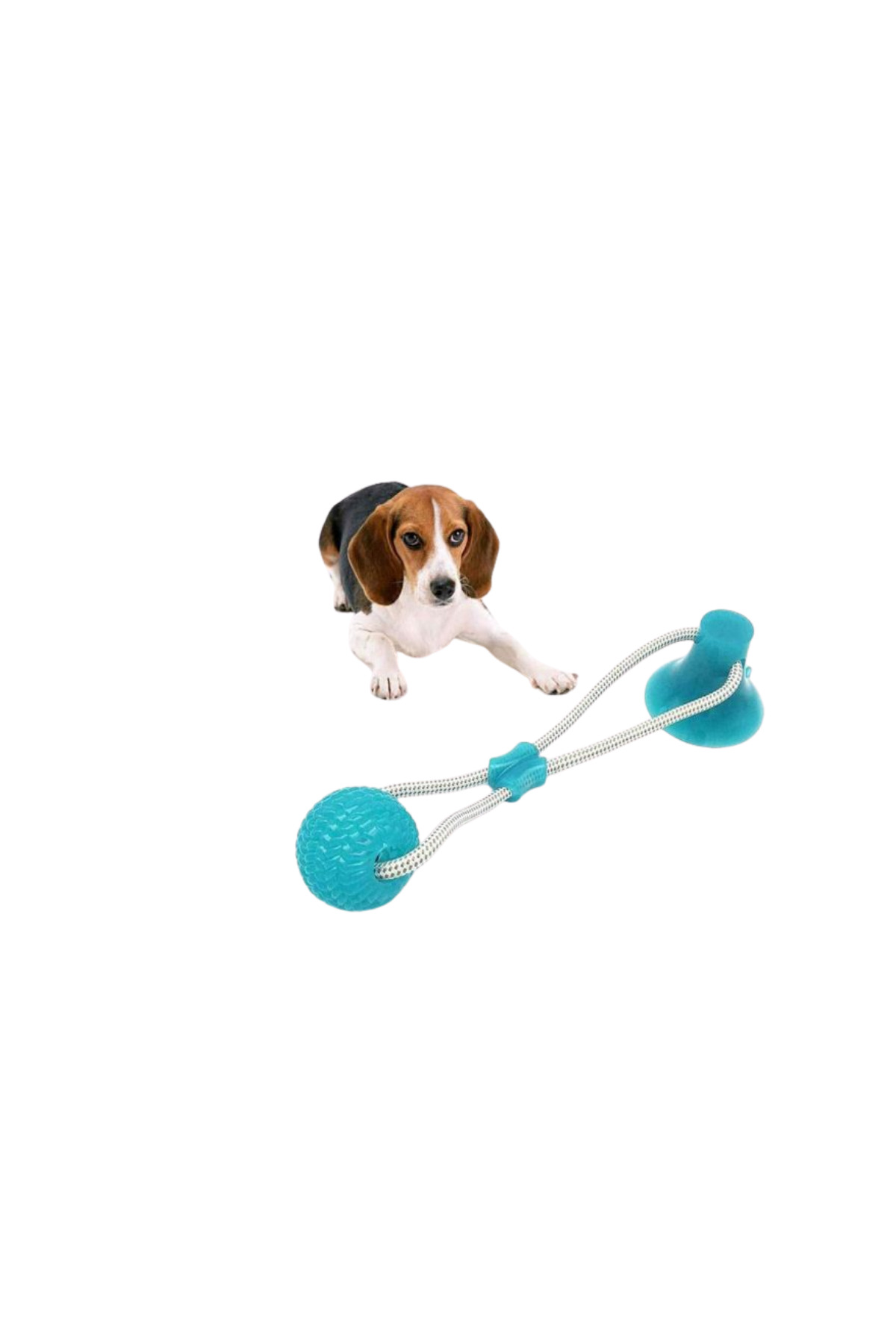 اسباب‌بازی طنابی مکشی سگ نونبل Nunbell مدل 50713