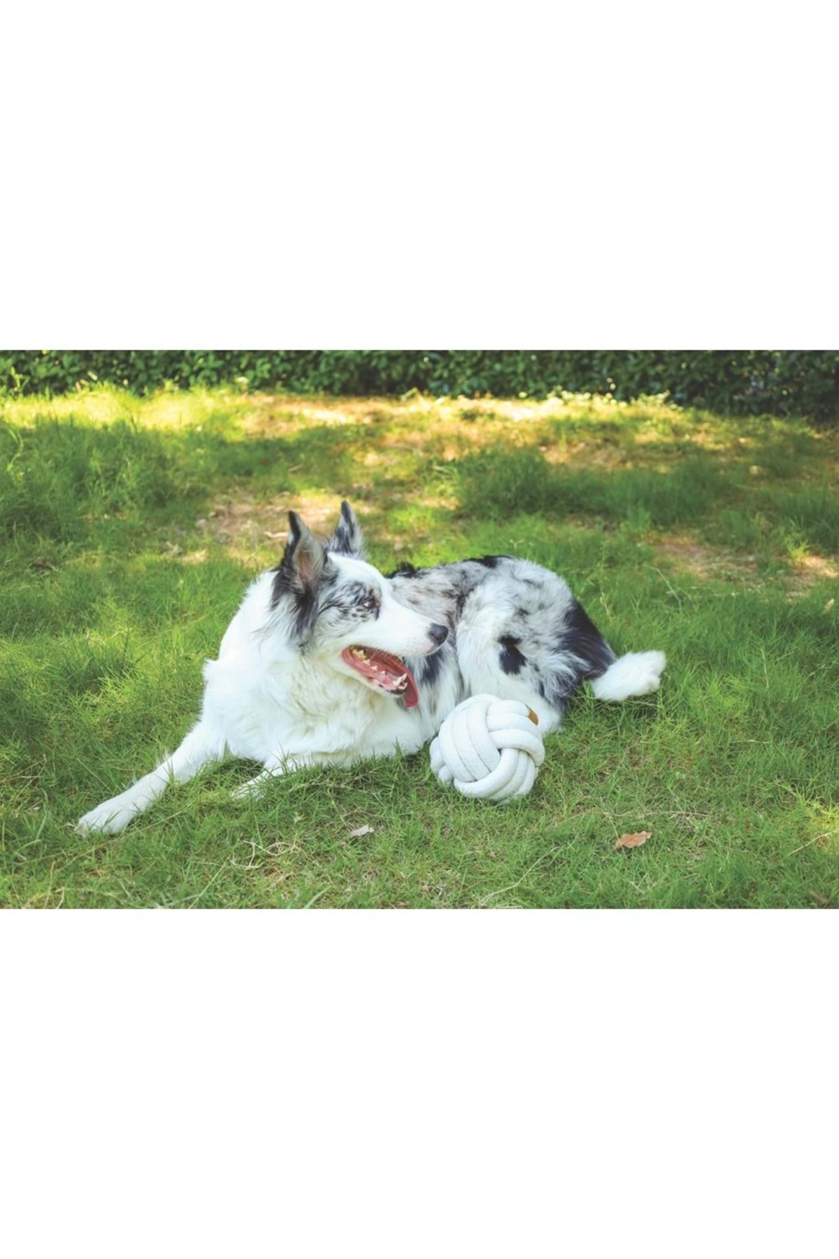 توپ اسباب‌بازی بافتنی سفید ۱۵ سانتی‌متری ام‌پتس M-PETS Coto