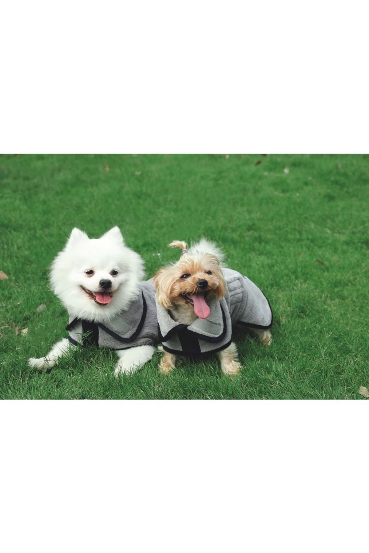 حوله‌تن‌پوش سگ ام‌پتس M-PETS Bath Time، سایز M، خاکستری