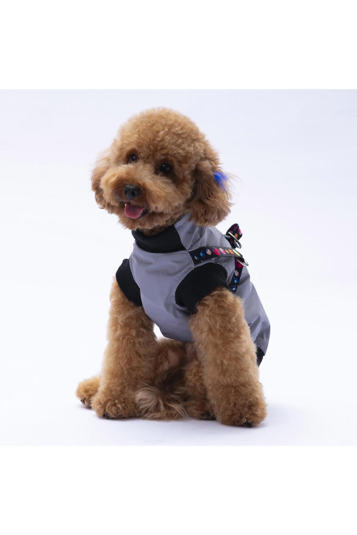 جلیقه بارانی سگ پاوستار Pawstar مدل Nuuk خاکستری