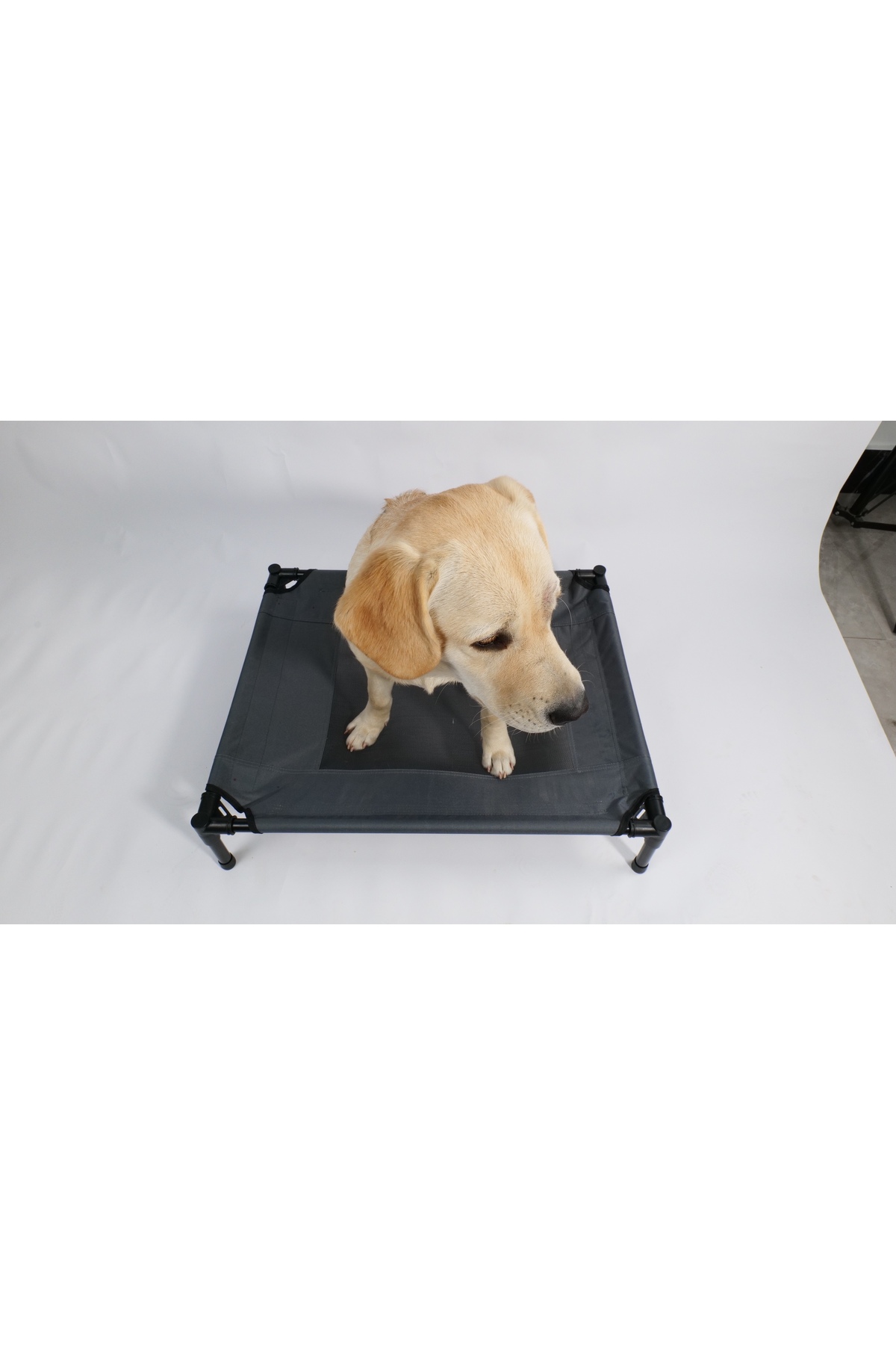 جای خواب مرتفع گربه و سگ ام‌پتس M-PETS، سایز M چندرنگ
