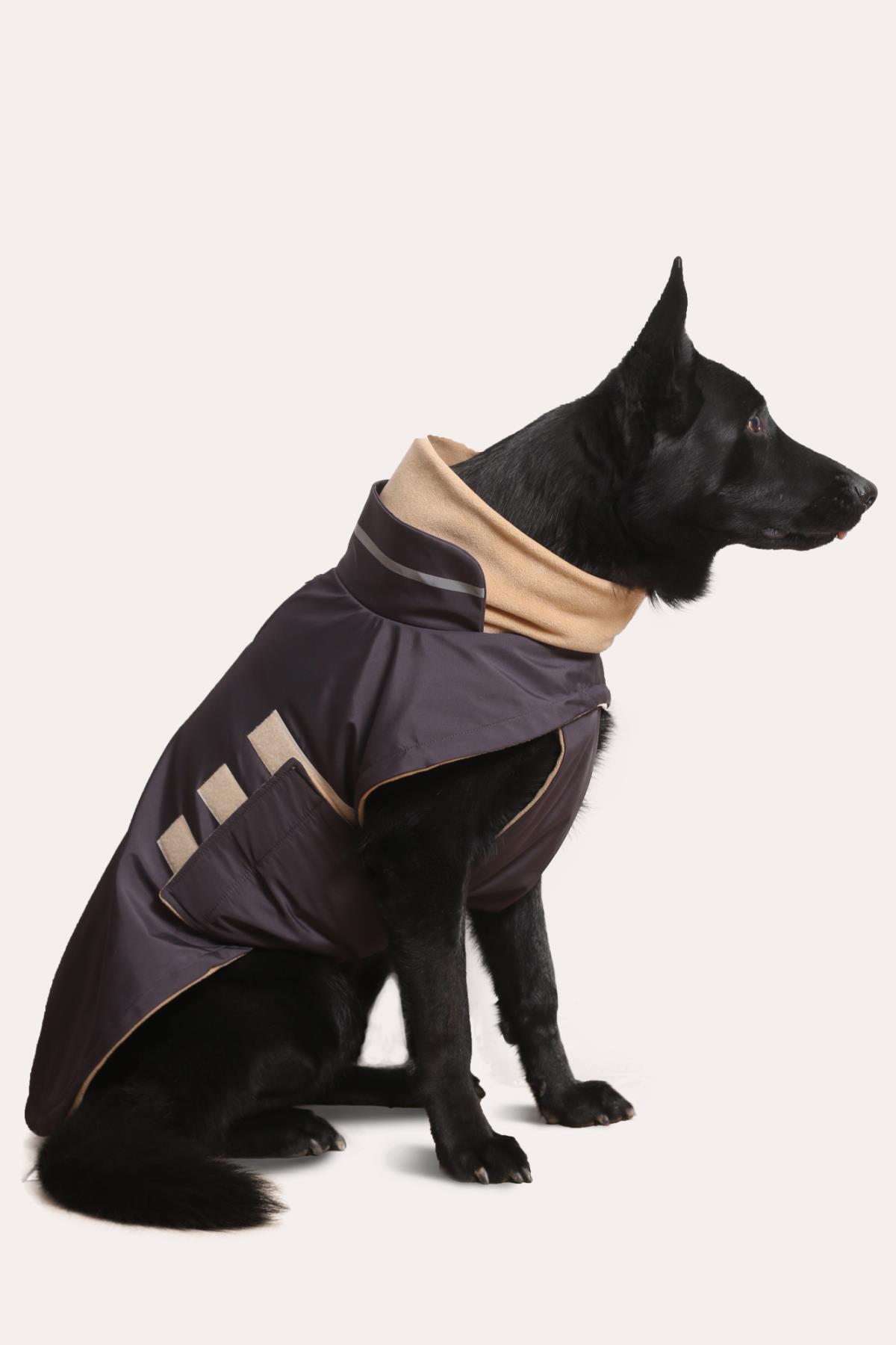 کاپشن سگ اسکی‌اندارد Asky&Erd Extreme Wheater Coat I