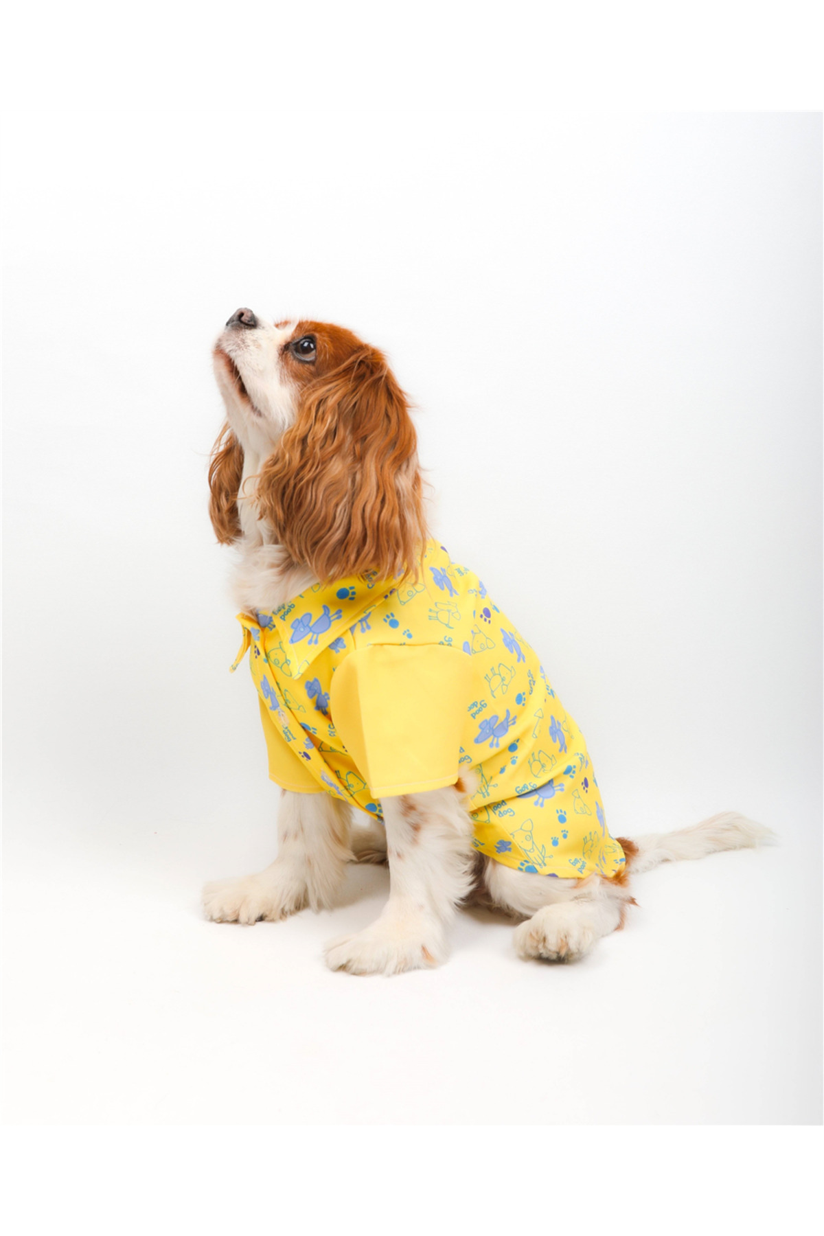پیراهن سگ زرد Good Dog، تارپاز TARPAWS