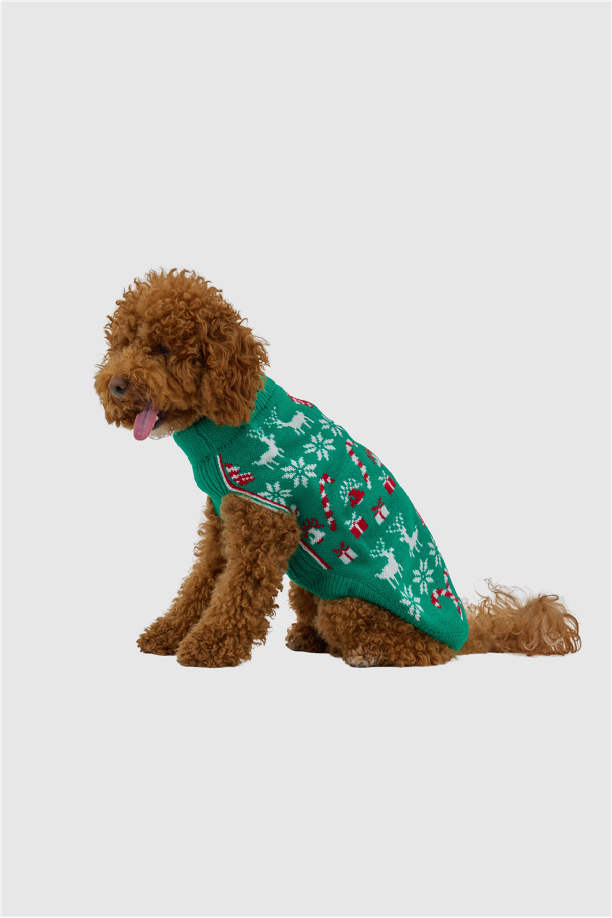 لباس بافتنی سگ تارپاز TARPAWS Merry Green، سبز
