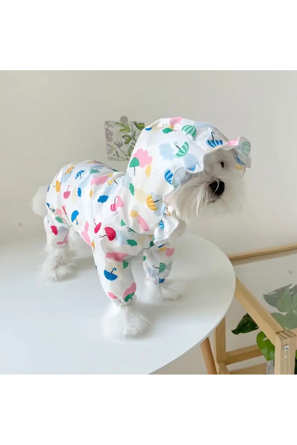بارانی سرهمی سگ پاو بوتیک Paw Butik، ضدآب و کلاه‌دار با طرح چتر رنگی سفید