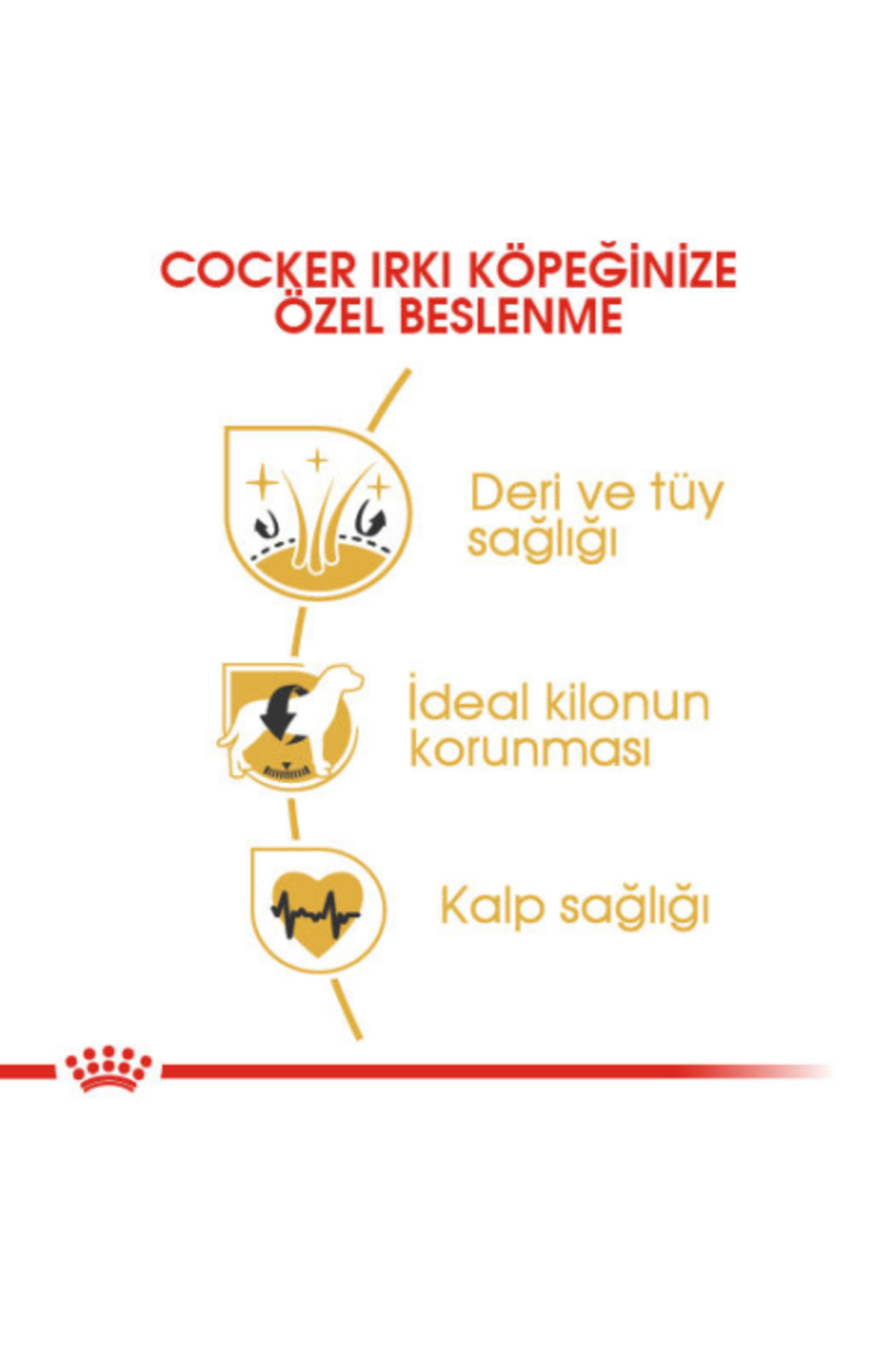 غذای خشک سگ کوکر Cocker Adult، ۳ کیلوگرم؛ رویال کنین Royal Canin