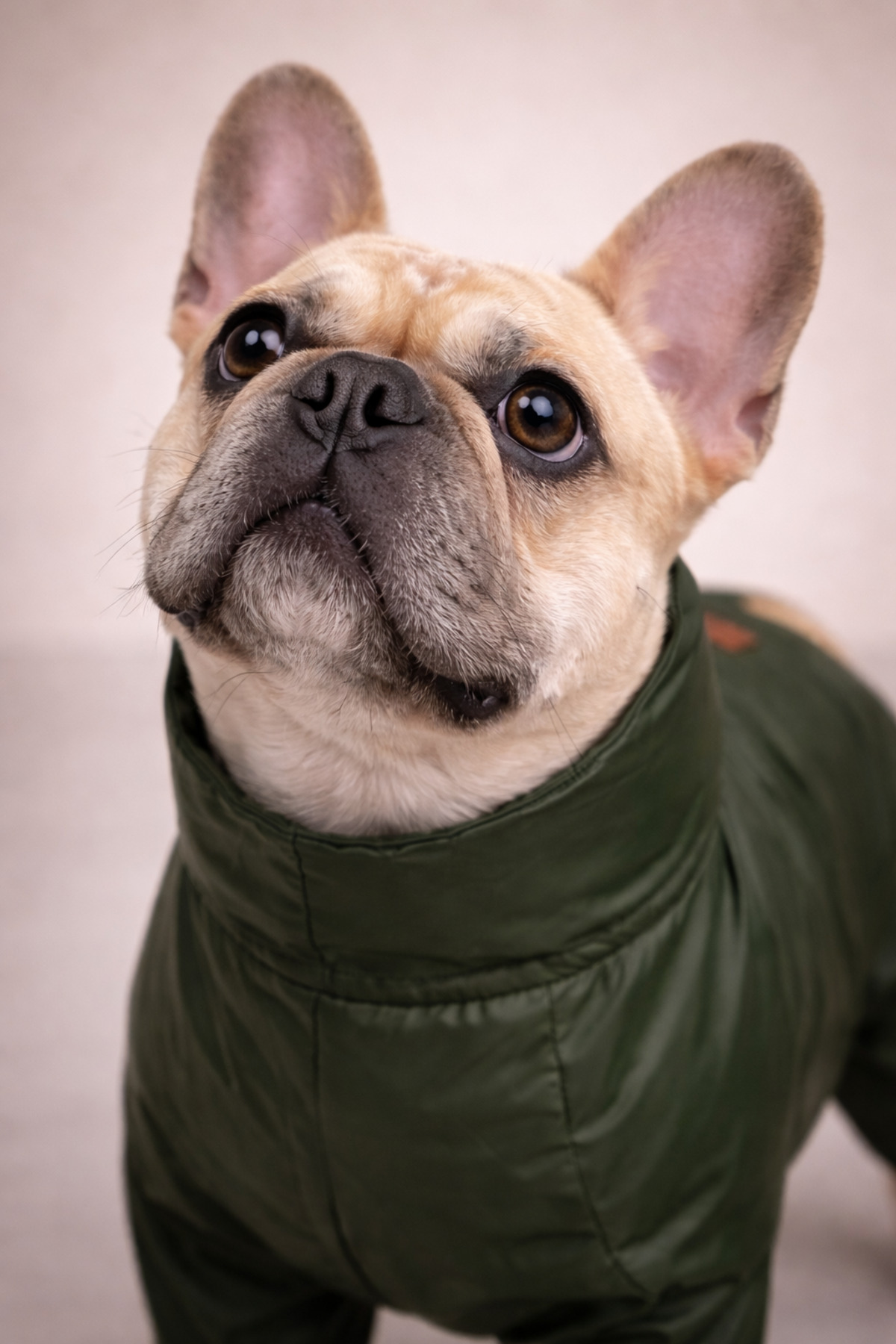 بارانی چهارپای سگ آلفاداگ دیزاین آلفادگ دیزاین Alphadog Design، مدل Coverall Leather سبز
