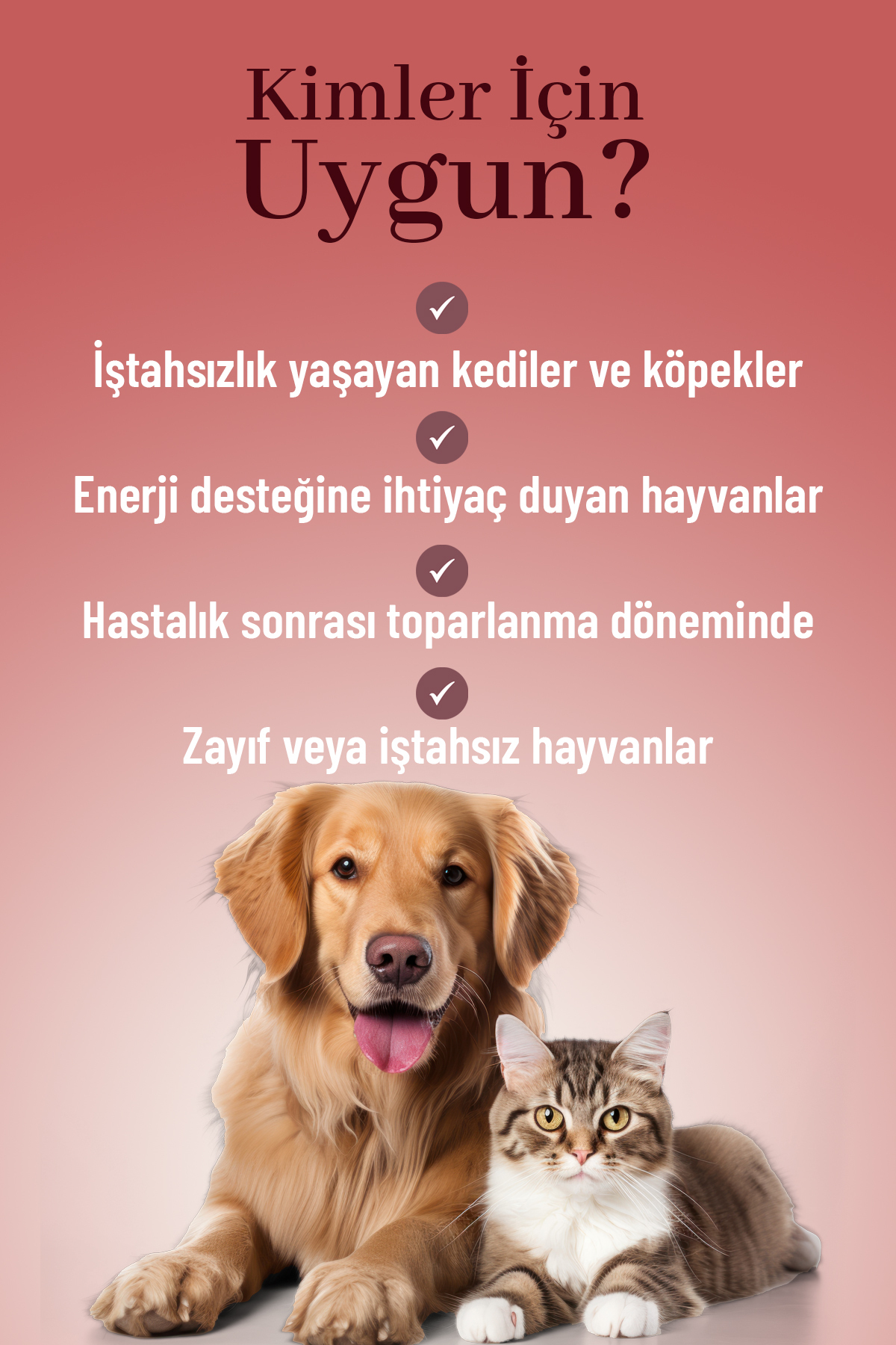 مکمل آمینواسید و ویتامین گربه و سگ وت‌پتی Vetpati Amino Cure