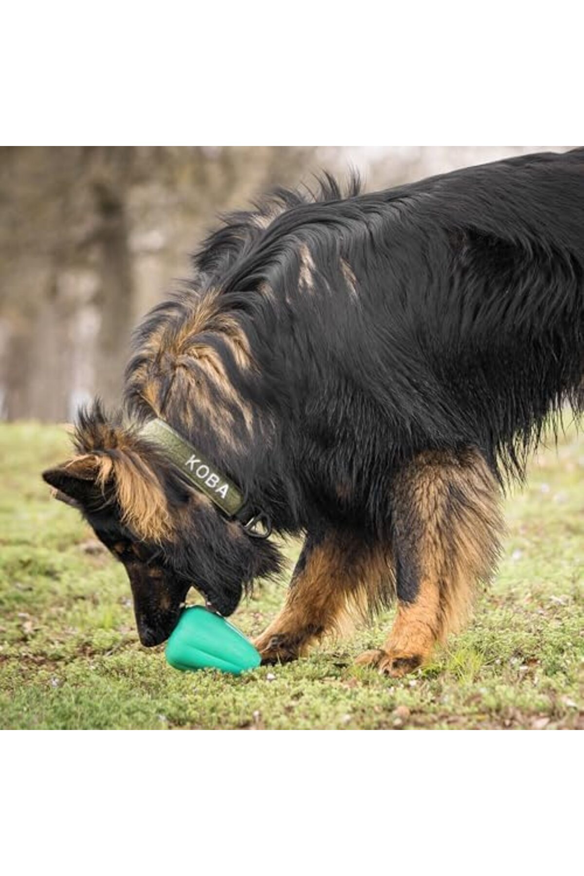 اسباب‌بازی جویدنی سگ Chew Premium Treat، سایز XL، ۲ عددی، ییلدیزان Yıldızan