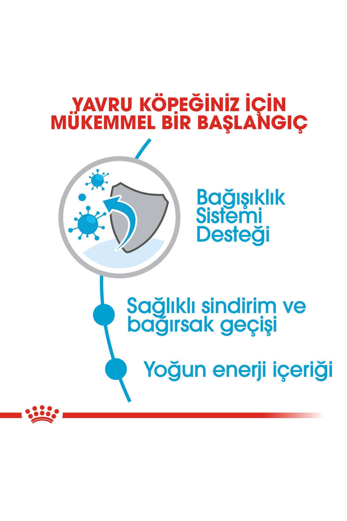 غذای خشک سگ Xsmall Puppy رویال کنین Royal Canin، ۳ کیلوگرم