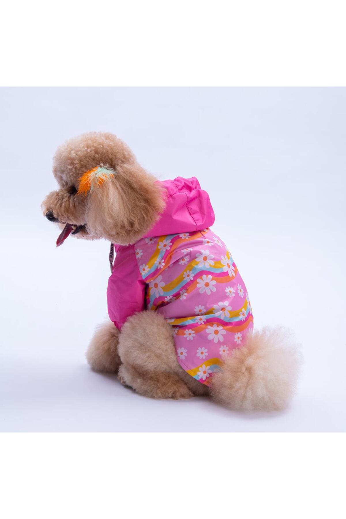 بارانی سگ پاوستار Pawstar Florence Daisy صورتی با طرح گل مینا، مدل PS25-1081