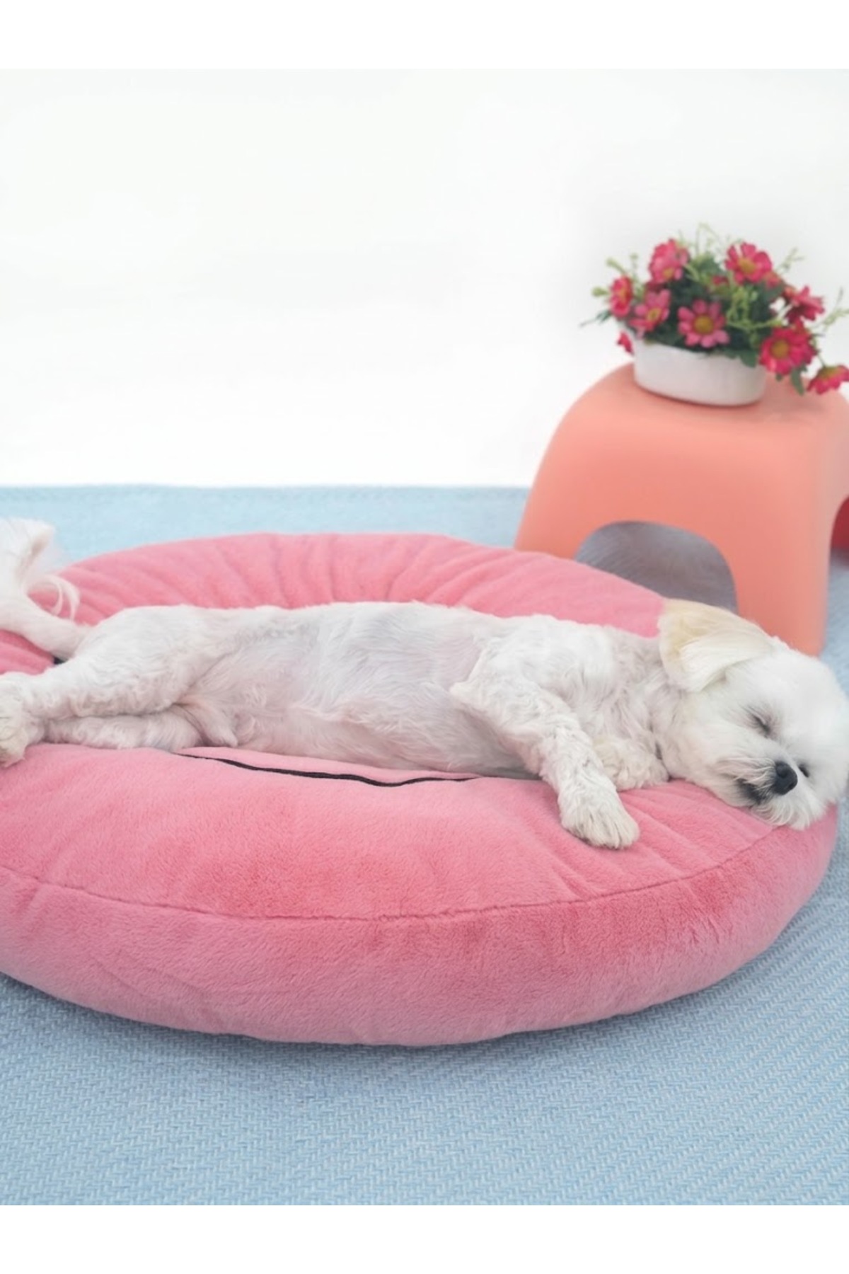 جای خواب گرد سگ پاریس‌داگ ParisDog طرح چهره خندان PRD10432 صورتی