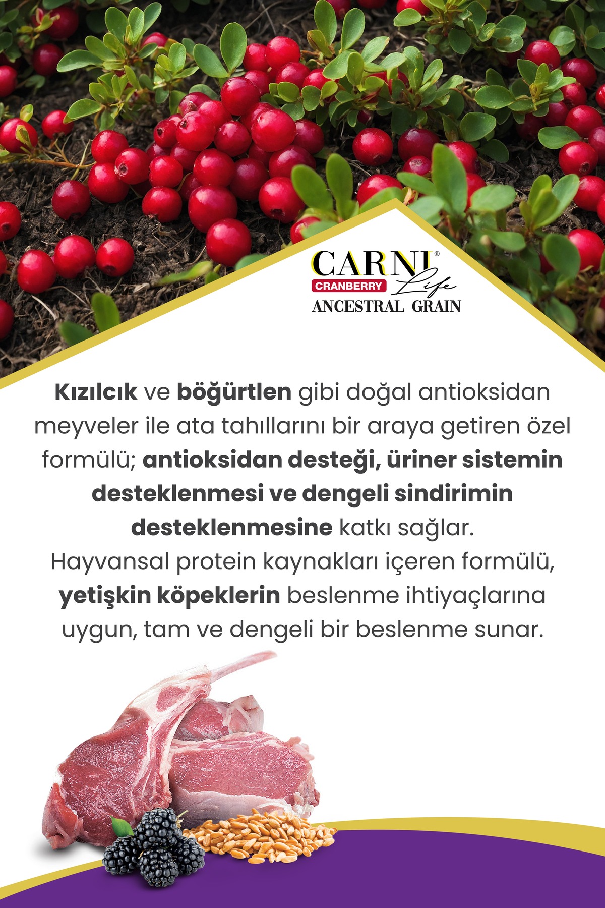 غذای خشک سگ کم‌غله با گوشت بره و تمشک سیاه کارنی لایف Carni Life 3 Kg