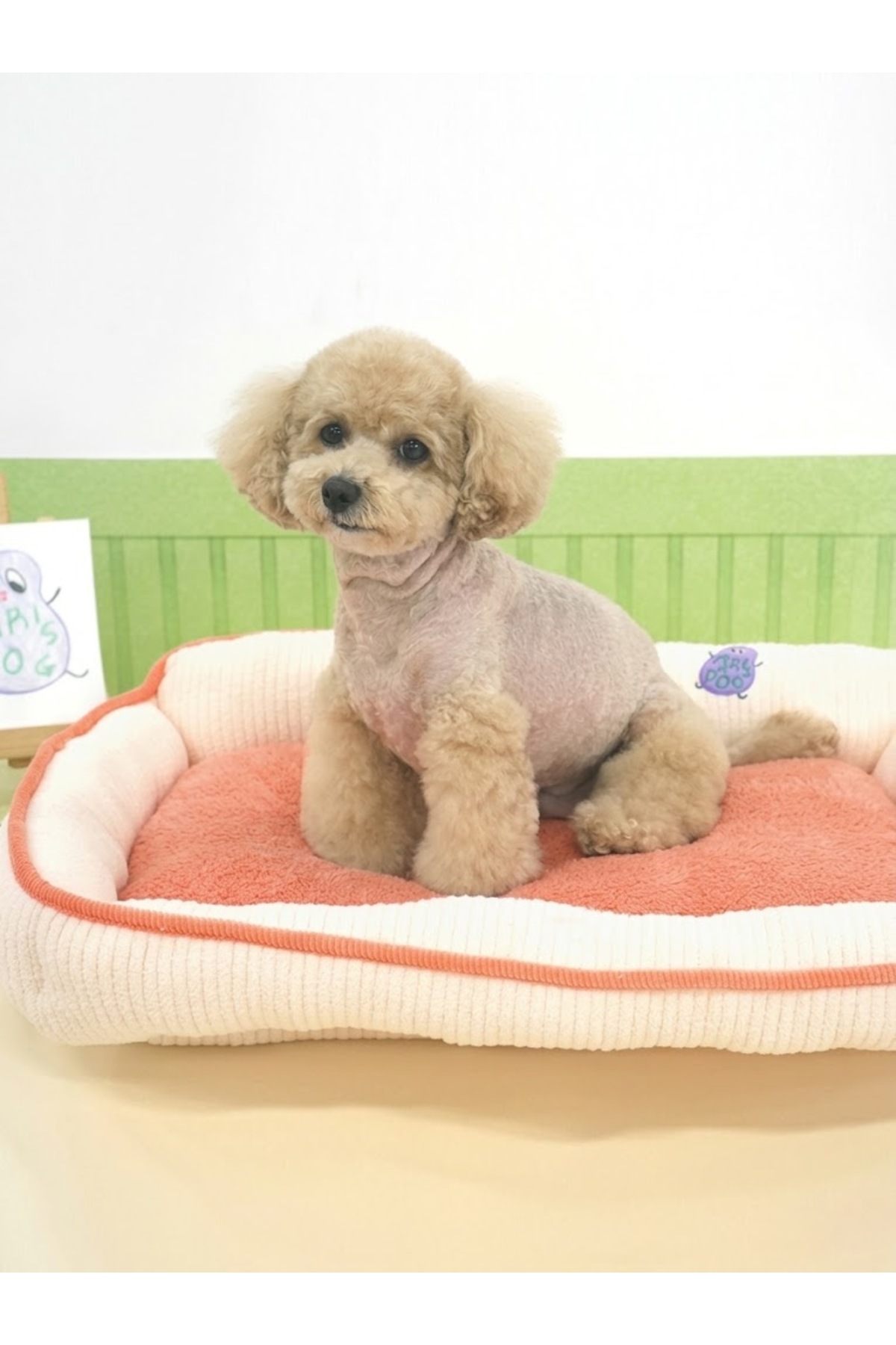 تخت سگ پاریس‌داگ ParisDog با بالشتک داخلی قابل تعویض، مدل PRD10437.1 کرم