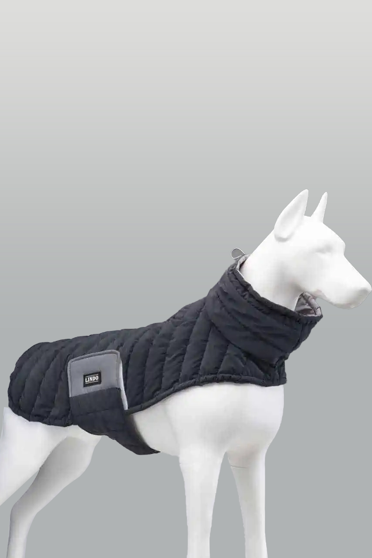کاپشن سگ ایوا پتیلر İVAPATİLER سری LINDODOGS AIRPUFF، سرمه‌ای