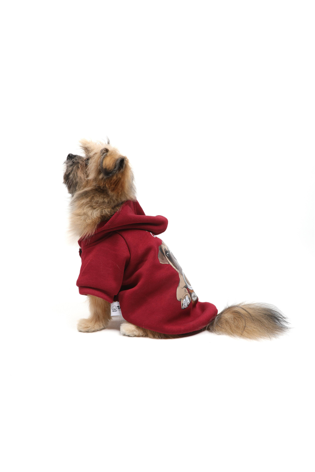 سویشرت کلاه‌دار سگ تارپاوز TARPAWS Coffee Dog، زرشکی