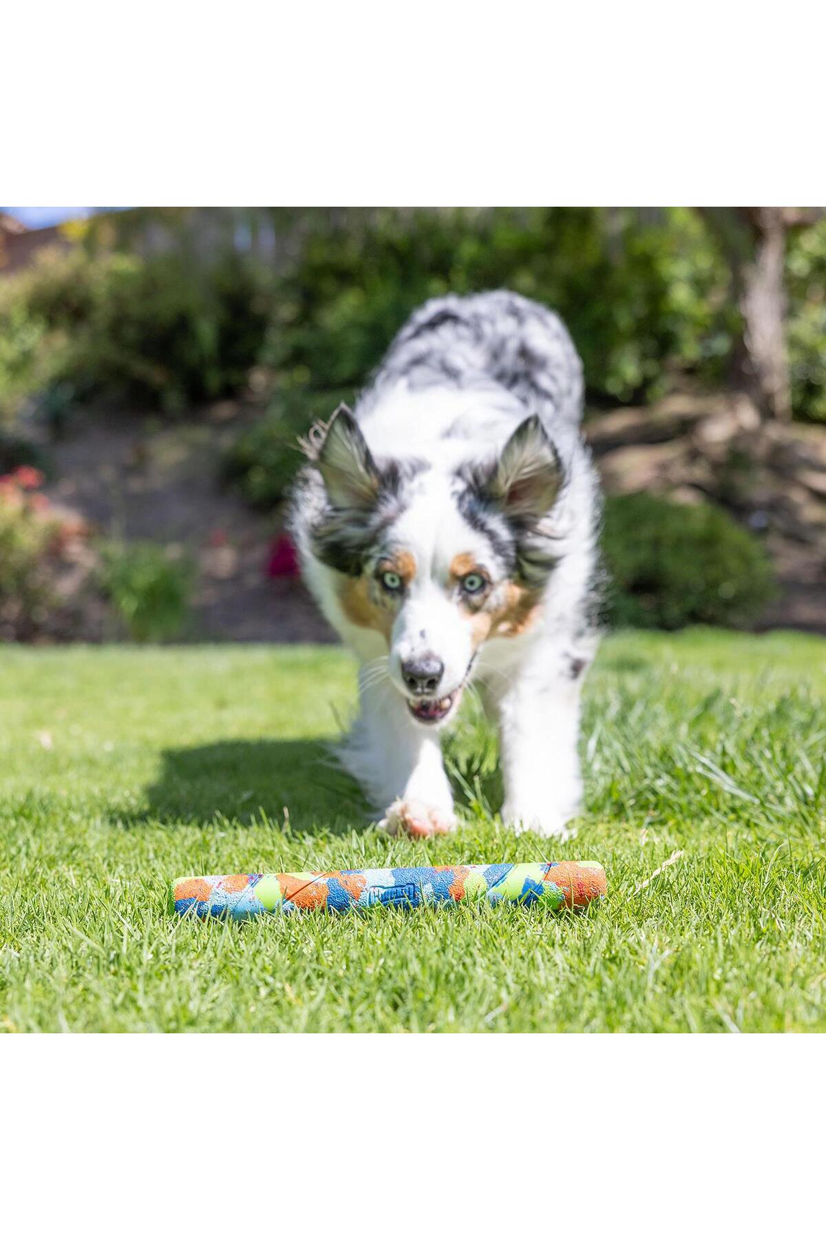 اسباب‌بازی سگ چاکیت Chuckit Eco Fetch Stick مدل 37161، چندرنگ