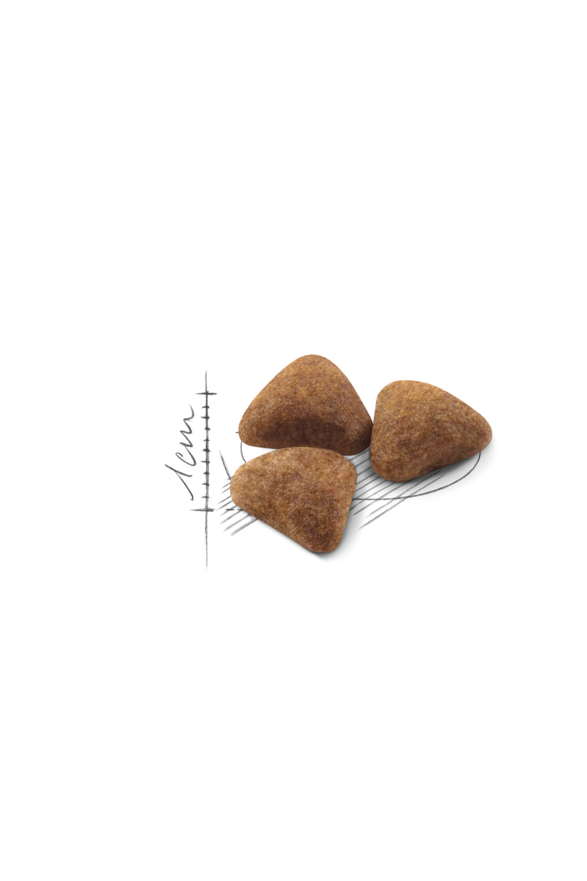 غذای خشک گربه رویال کنین Royal Canin Indoor 27، ۴۰۰ گرم