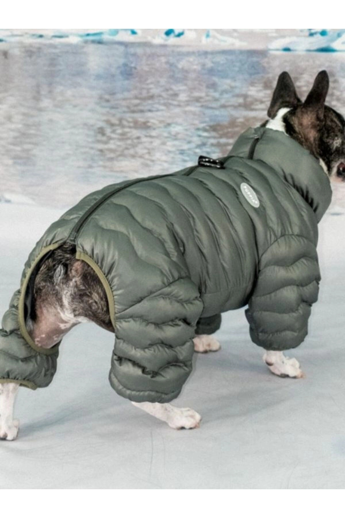 کاپشن سگ پوپیا Puppia مدل Wavy Puffer Suit، خاکی