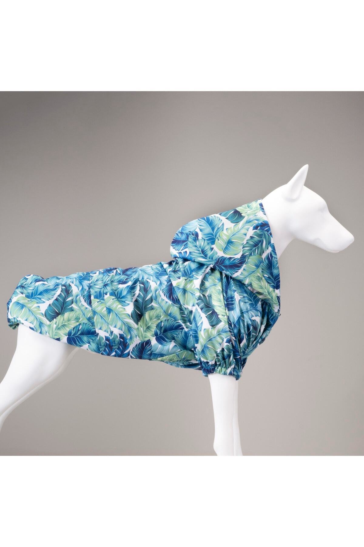بارانی ضدآب کلاه‌دار سگ لیندو داگز Lindodogs Aqua
