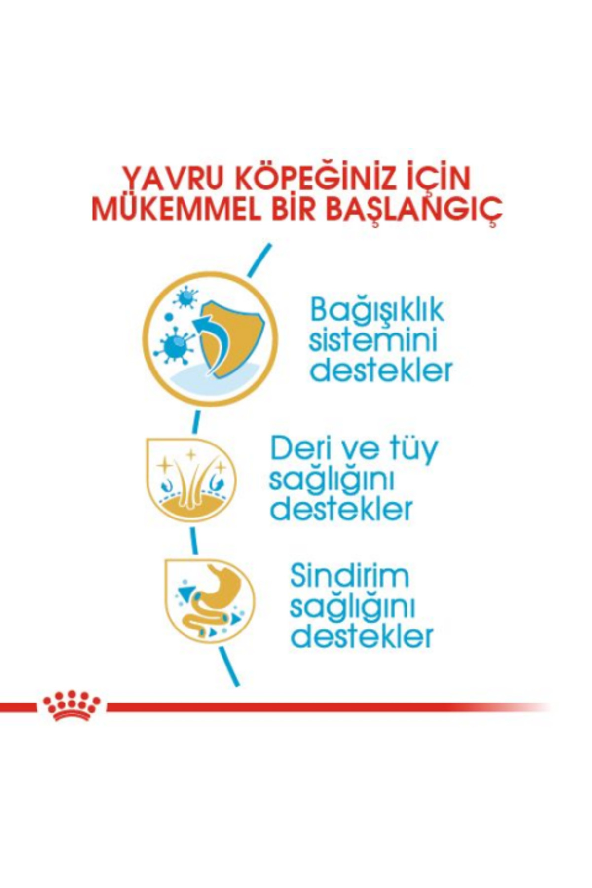 غذای خشک توله‌سگ شیتزو رویال کنین Royal Canin، ۱٫۵ کیلوگرم 1,5 kg