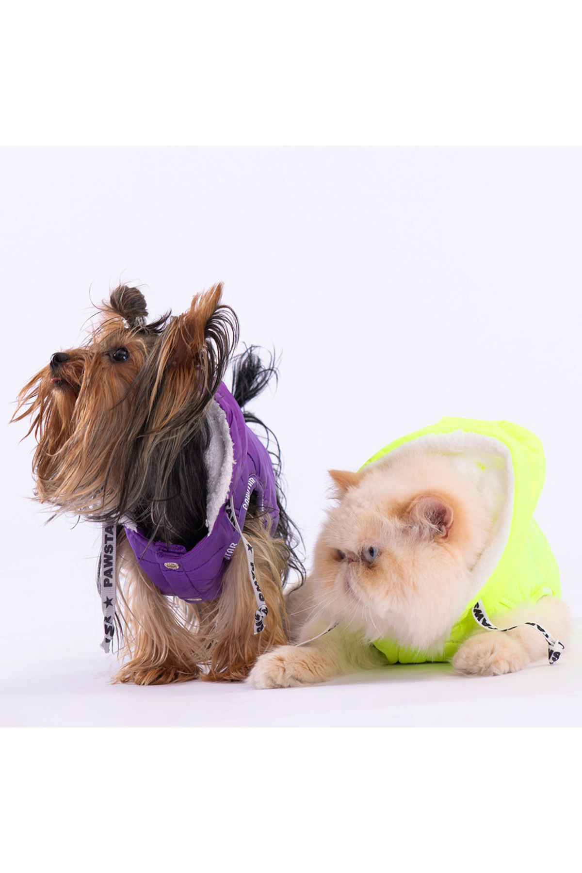 جلیقه بارانی بنفش سگ پاوستار Pawstar Railway Anorak مدل V2310
