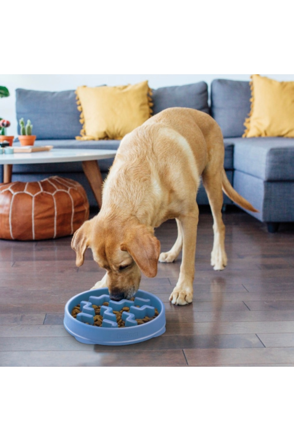 ظرف غذای آهسته‌خور M/L اوت‌وارد هاوند Outward Hound، پلاستیکی، آبی 600 gr