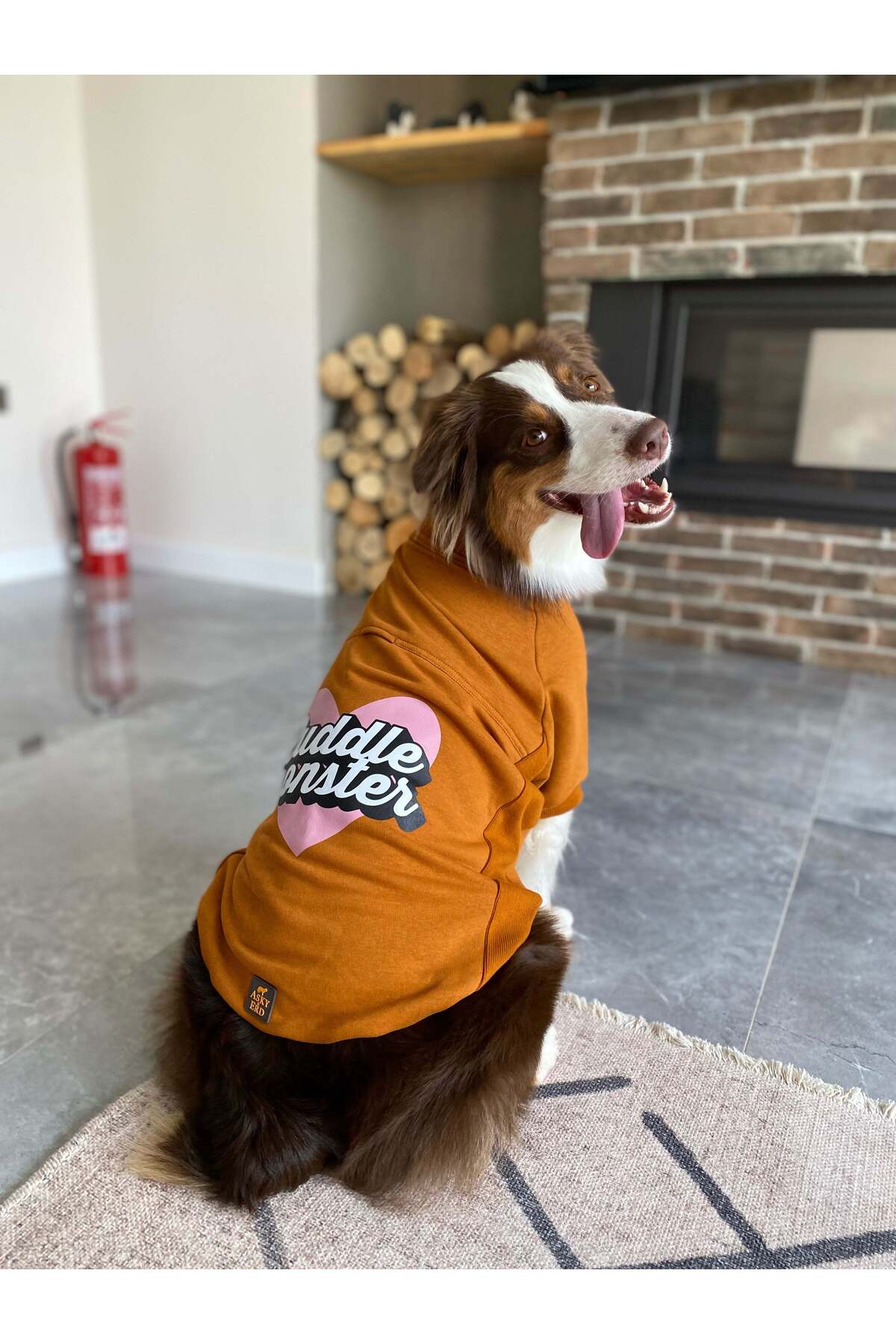 سویشرت سگ Cuddle Monster از مجموعه I am.. Sweatshirts Collection، آسکی‌اندارد Asky&Erd، رنگ دارچینی