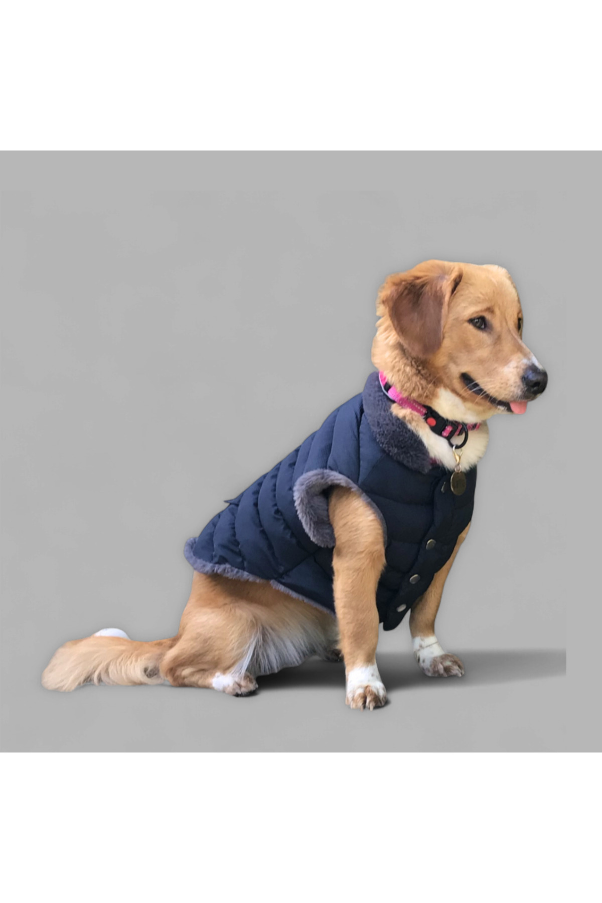 کاپشن پفی سگ لولو دِ اربن پاپ Lulu The Urban Pup، سرمه‌ای، مدل LTUP4000
