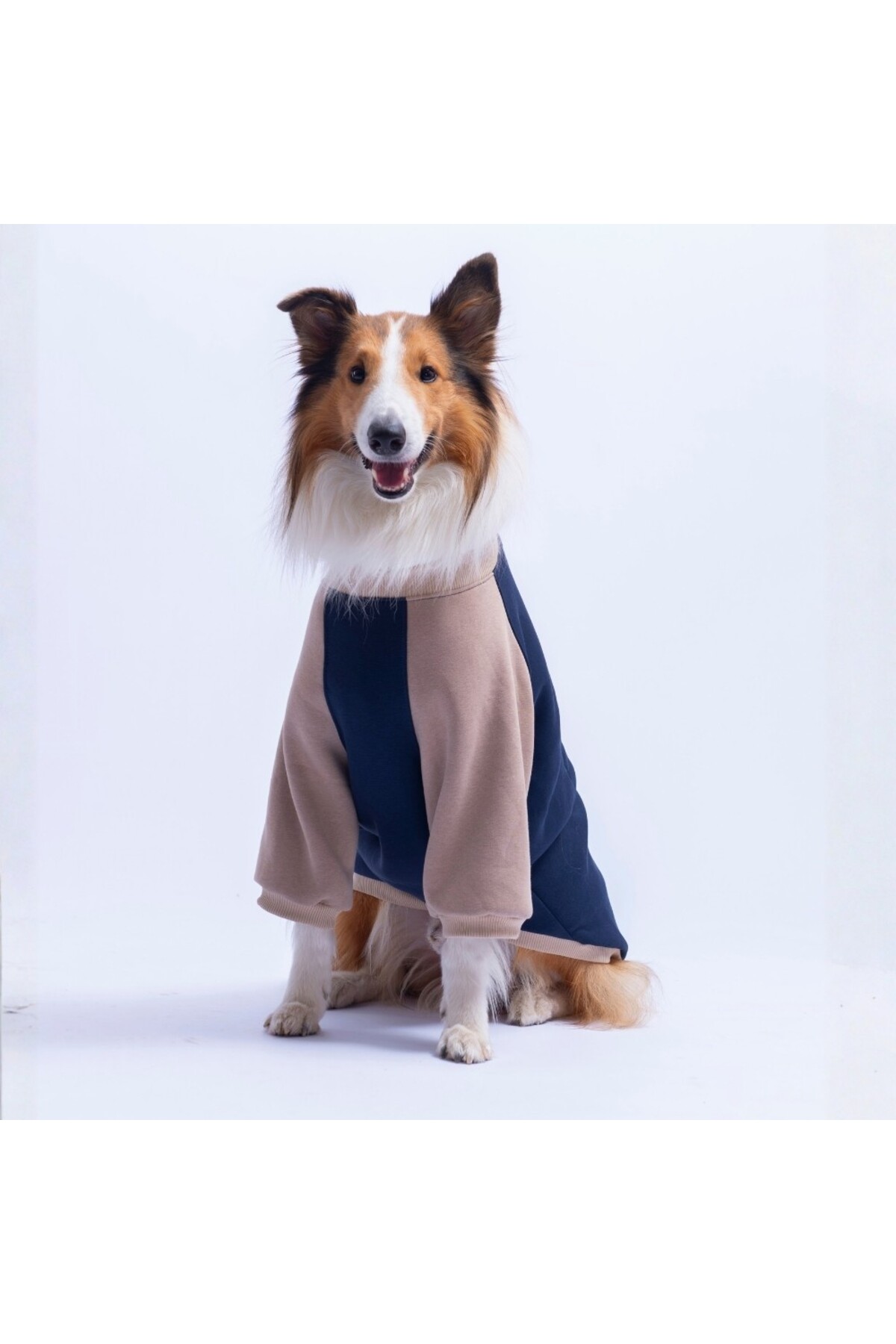 سویشرت سگ پاوستار Pawstar مدل Boston، سرمه‌ای، مناسب نژادهای متوسط و بزرگ