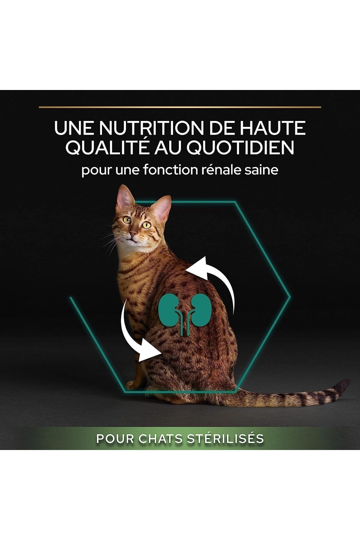 غذای خشک گربه بالغ عقیم‌شده پروپلن Pro Plan Optirenal با سالمون، ۱٫۵ کیلوگرم 1.5 Kg