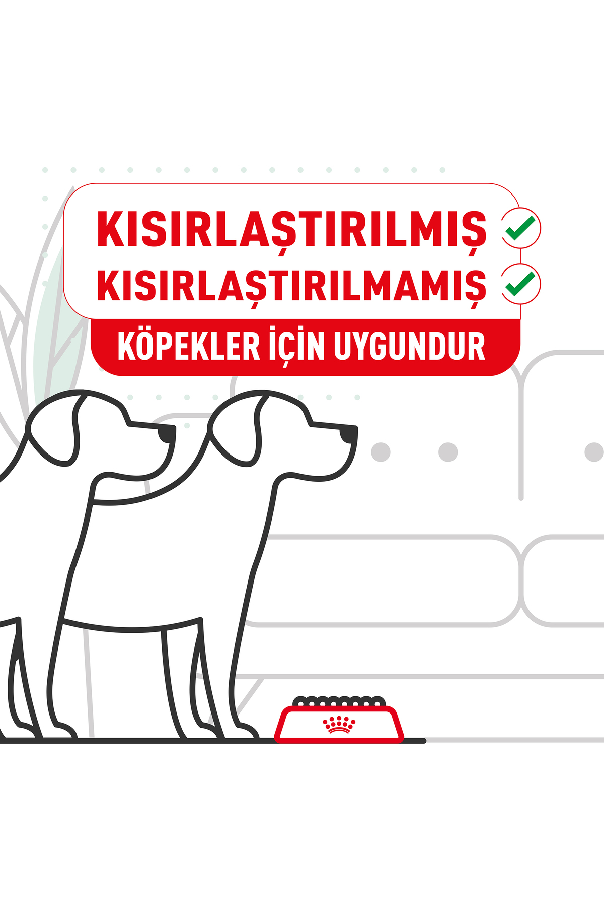 غذای خشک سگ رویال کنین Royal Canin Mini Adult برای نژادهای کوچک 8kg