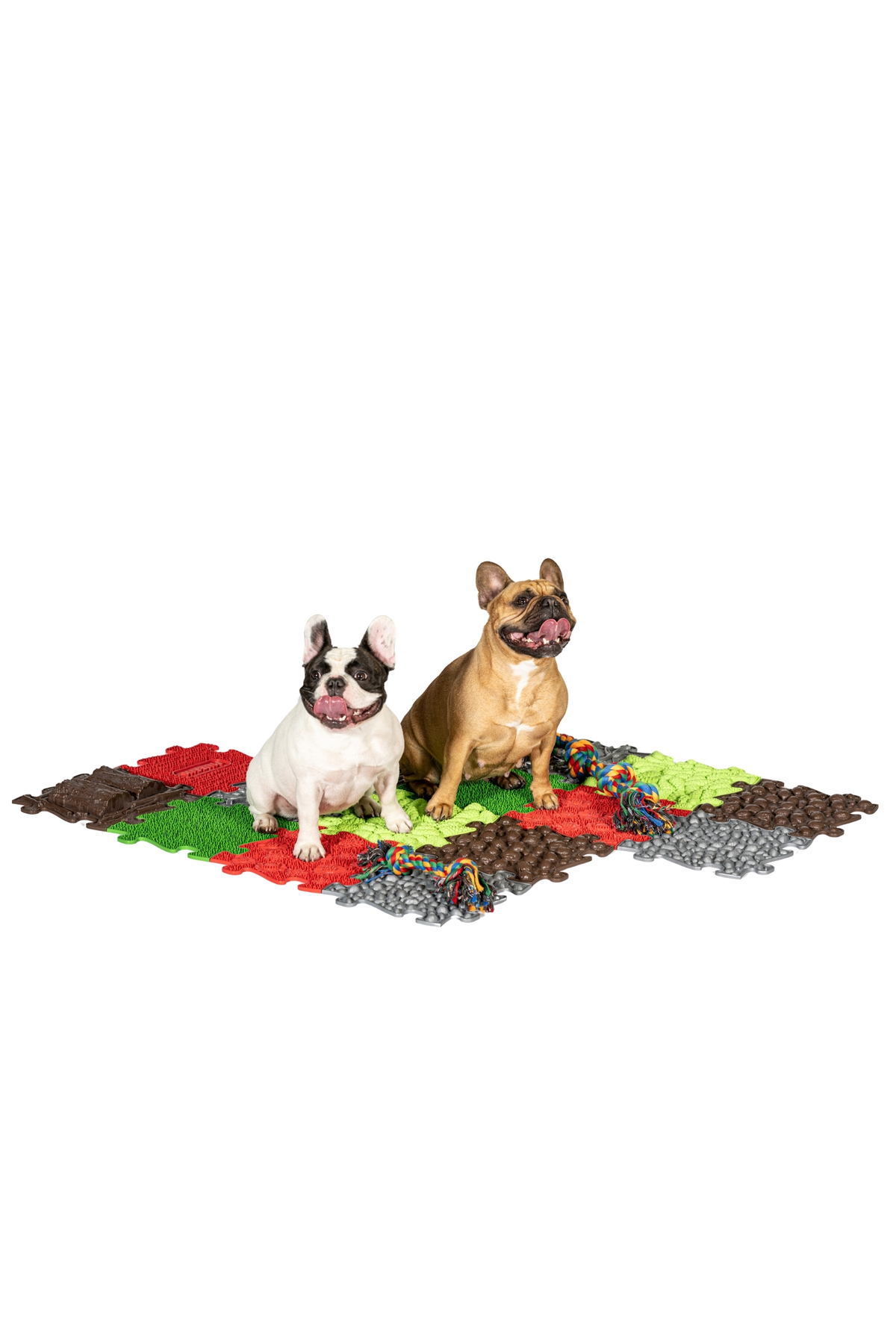 مت ارتوپدی سگ مافیک Muffik Happy Dogs، ۸ پارچه، مدل MFK-069