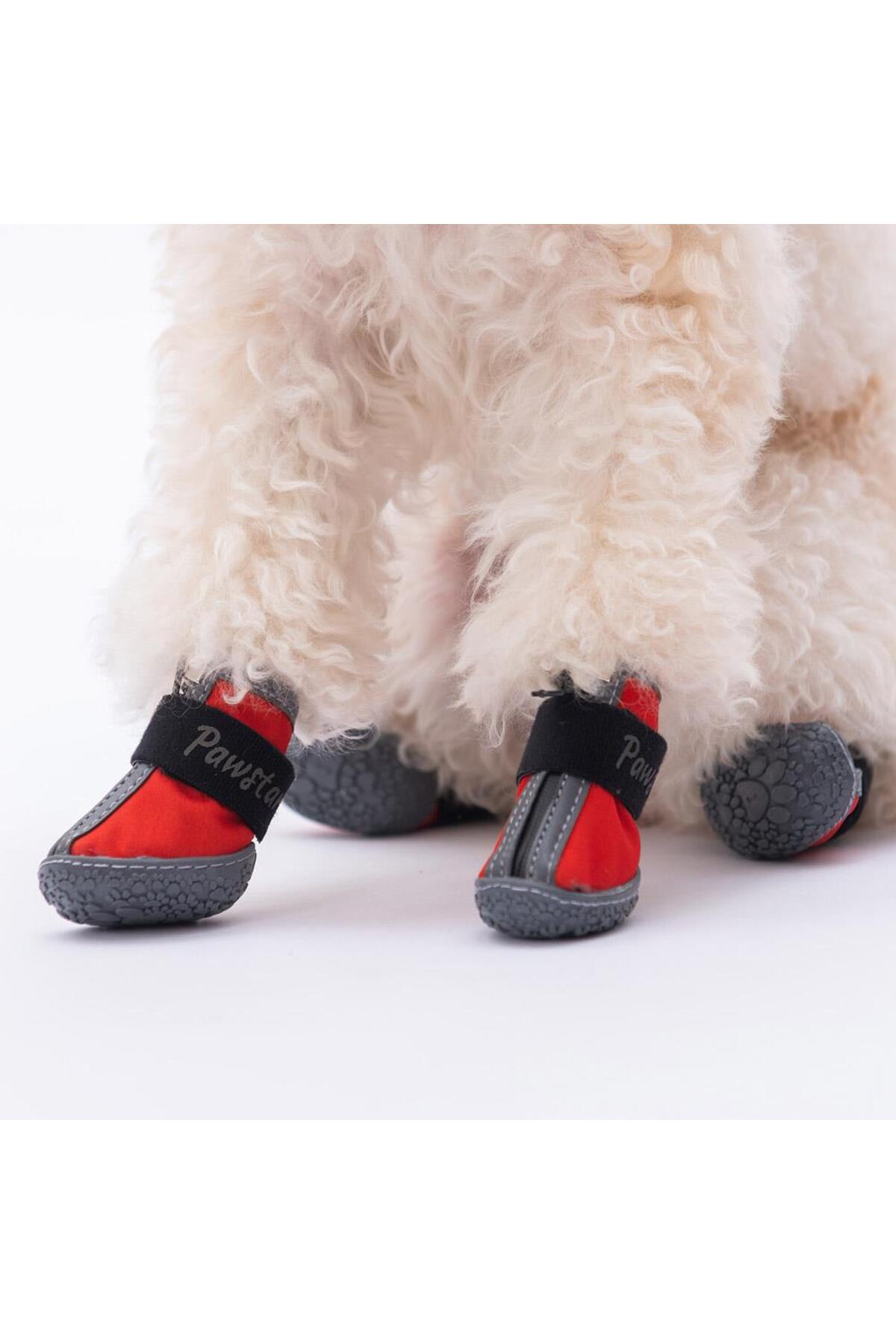 کفش سگ پاواستار Pawstar قرمز مدل PDS-02