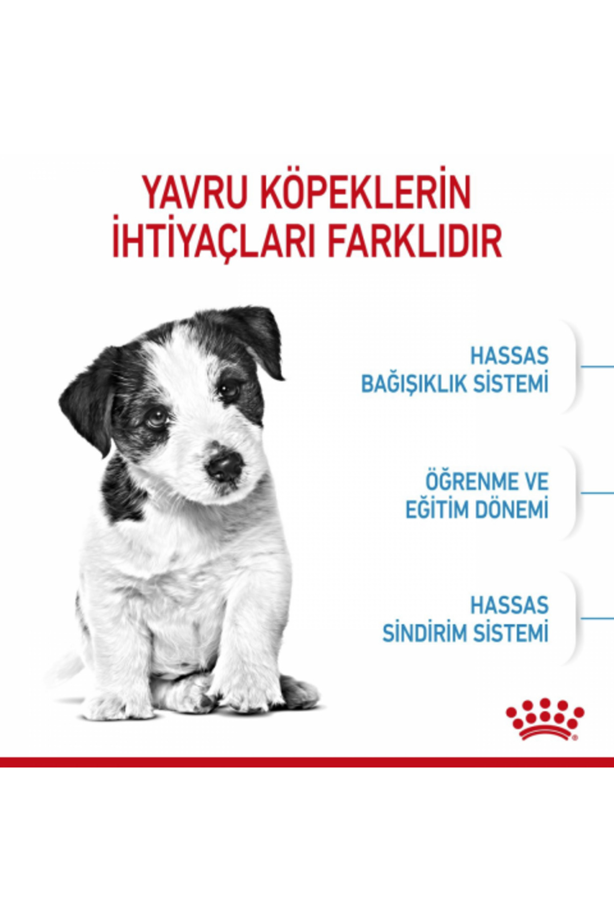 غذای خشک سگ Mini Puppy رویال کنین Royal Canin، طعم مرغ، ۲ کیلوگرم