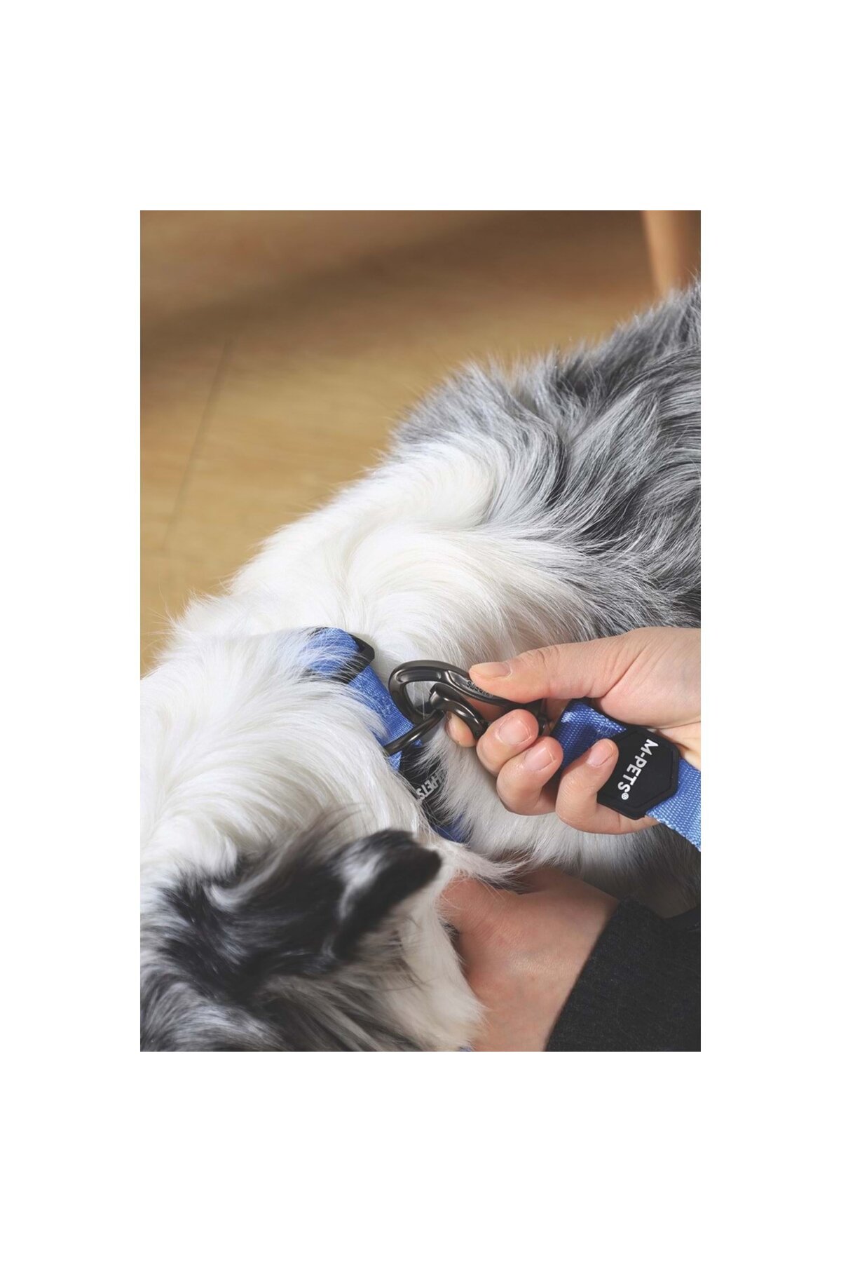 بند گرداندن سگ ام‌پتس M-PETS، سایز M، آبی