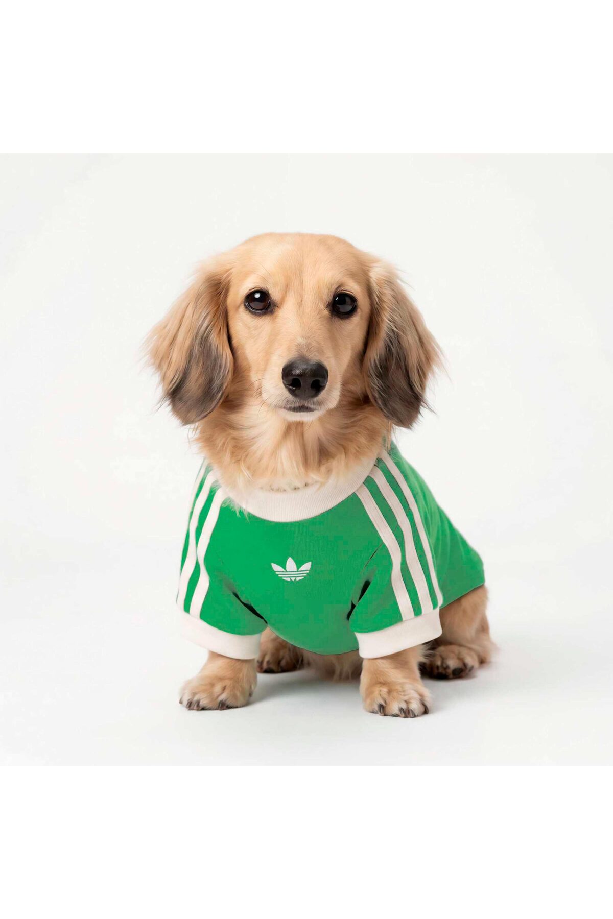 تی‌شرت سگ آدیداس adidas Originals Cali سبز (KY8730)