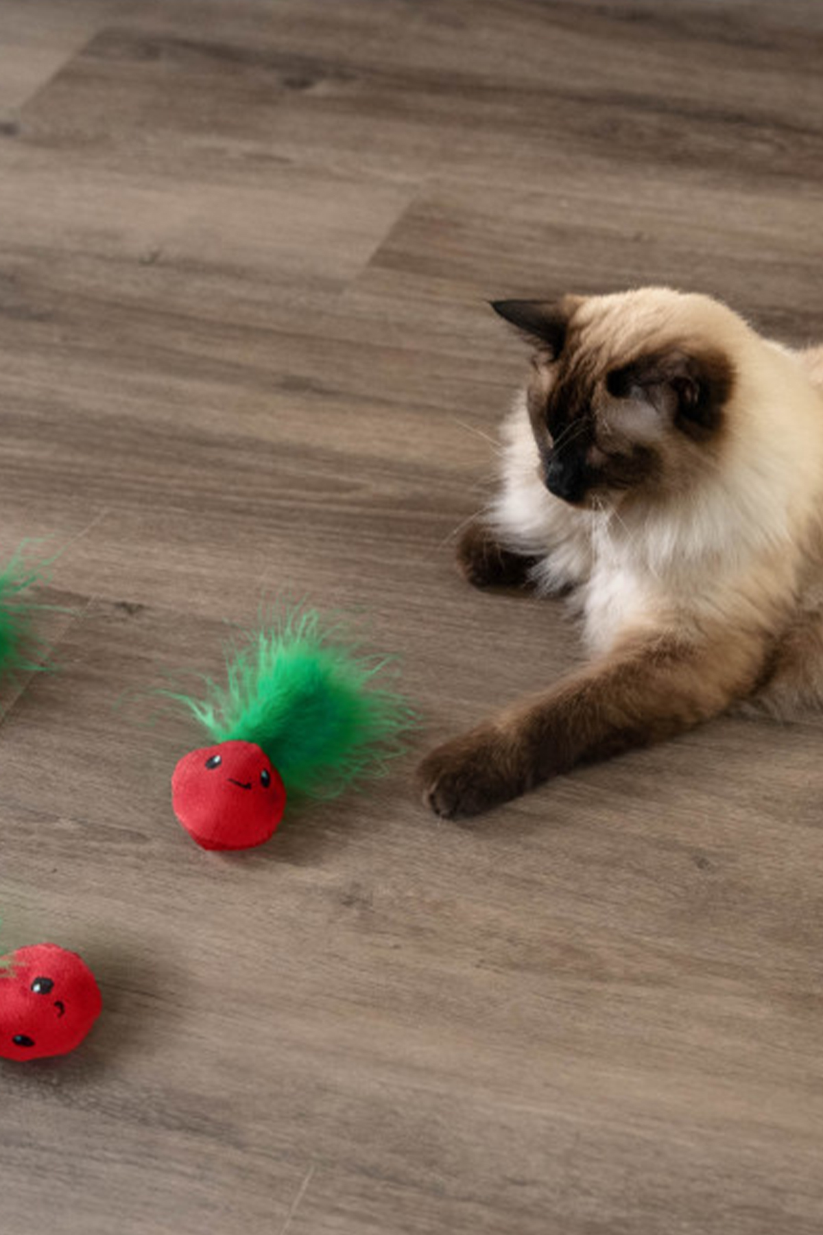 اسباب‌بازی گربه کت‌نیپ‌دار طرح توت‌فرنگی، ۳ عددی Catstages Strawbabies، مدل 350-70394M از اوت‌وارد هاوند Outward Hound چندرنگ